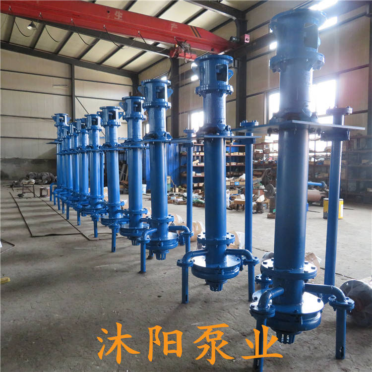 100PWDL多吸头立式排污泵.多吸头立式清淤泵