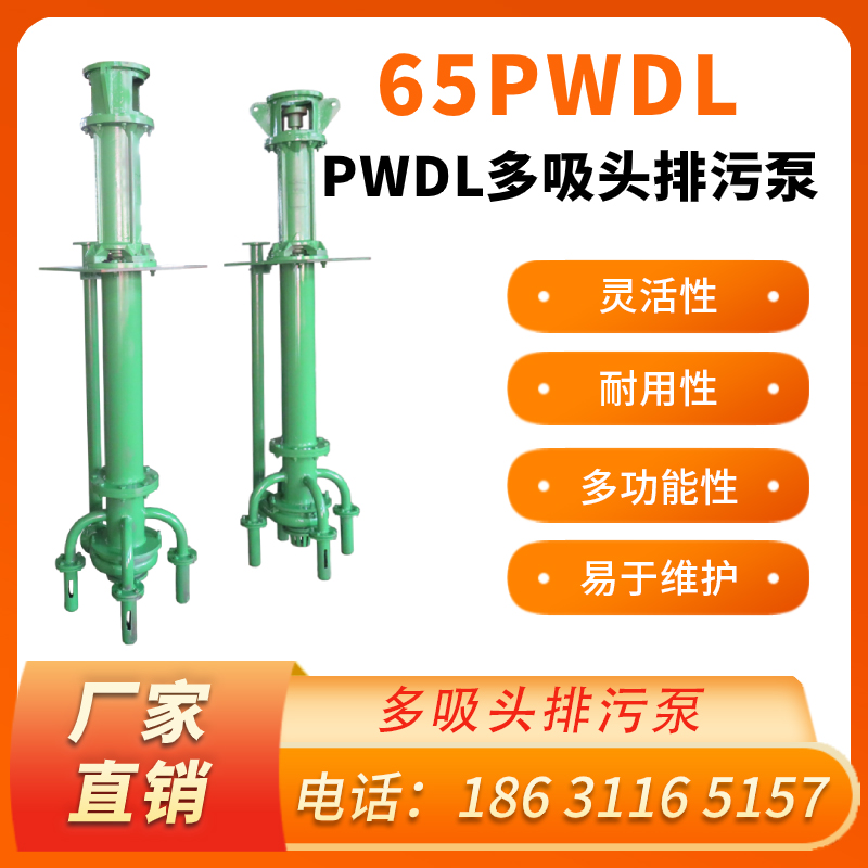 50SPW.50PWDL多吸头排污泵