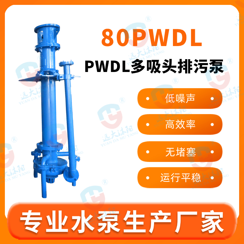 输煤栈桥排污泵